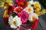 アレンジ花(クリックすると拡大されます)