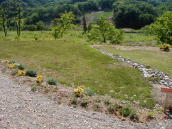 �I���W�i���K�[�f��