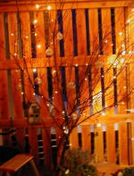 クリスマスデコレーション電飾(クリックすると拡大されます)